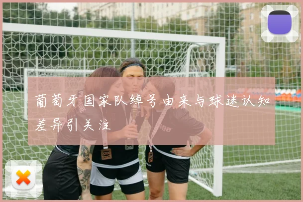 葡萄牙国家队绰号由来与球迷认知差异引关注