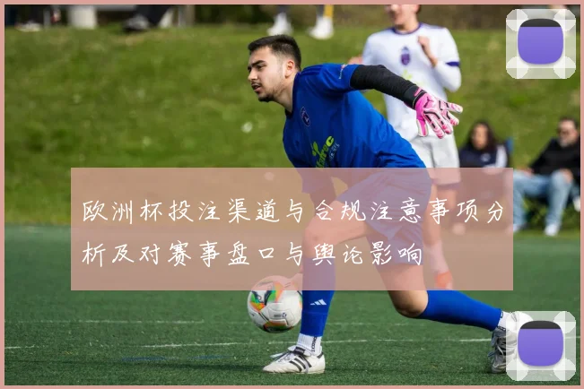 欧洲杯投注渠道与合规注意事项分析及对赛事盘口与舆论影响
