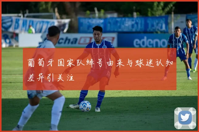 葡萄牙国家队绰号由来与球迷认知差异引关注