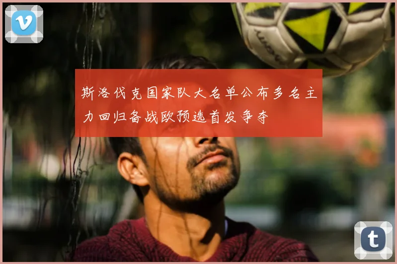 斯洛伐克国家队大名单公布多名主力回归备战欧预选首发争夺