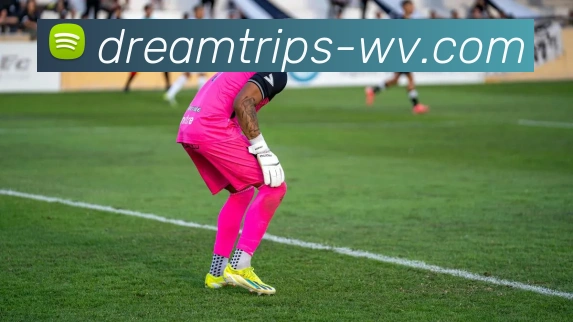 华体会官网首页登录入口服务体系