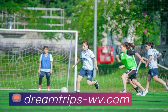 milan米兰官网服务体系