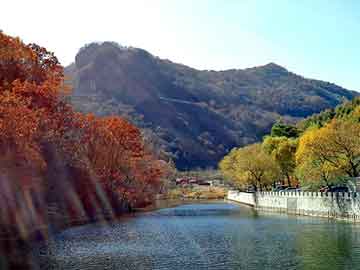 凤阳鼓楼脱落瓦片2023年刚经历修复，凤阳县文旅局长回应是否违建等焦点问题